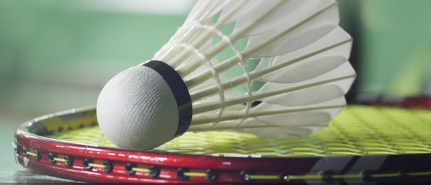 他们在球场 他们在球场