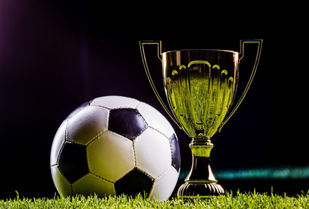 球迷们不仅 球迷们不仅